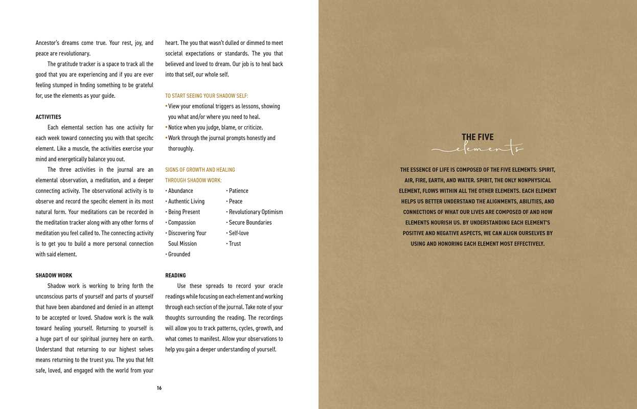 Elemental Alchemist Guided Journal by Nyasha  Williams