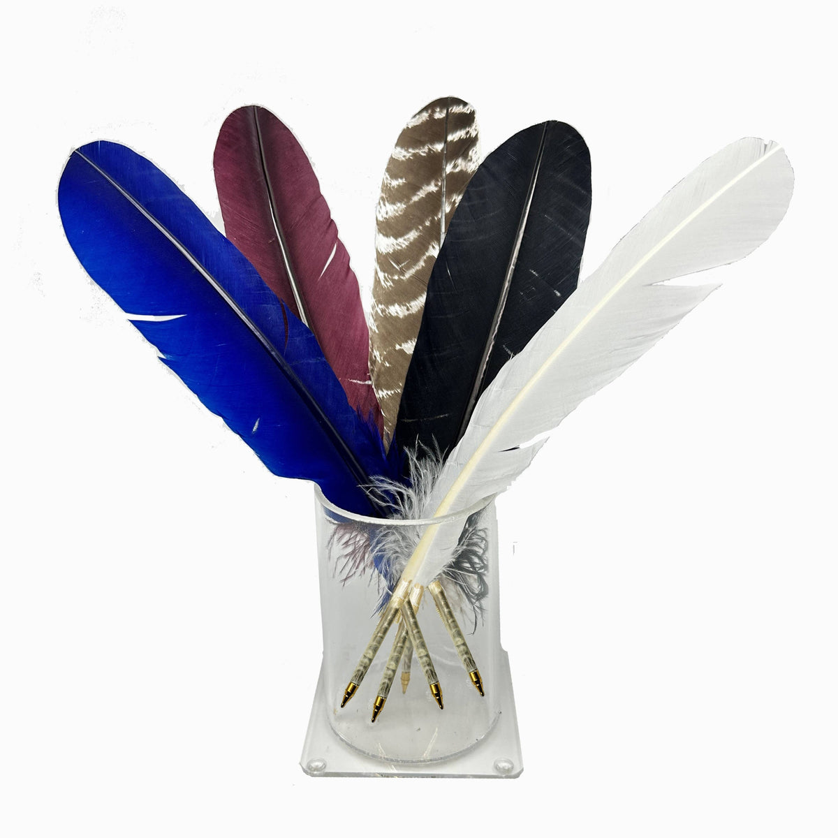 Genuine Turkey Nib Quill Pens