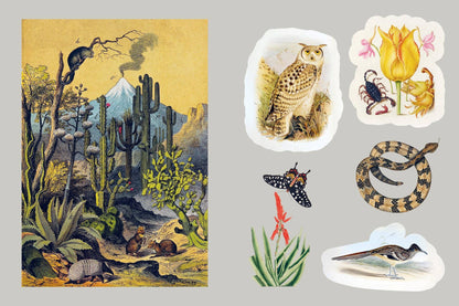 Mystical Earth Sticker Book