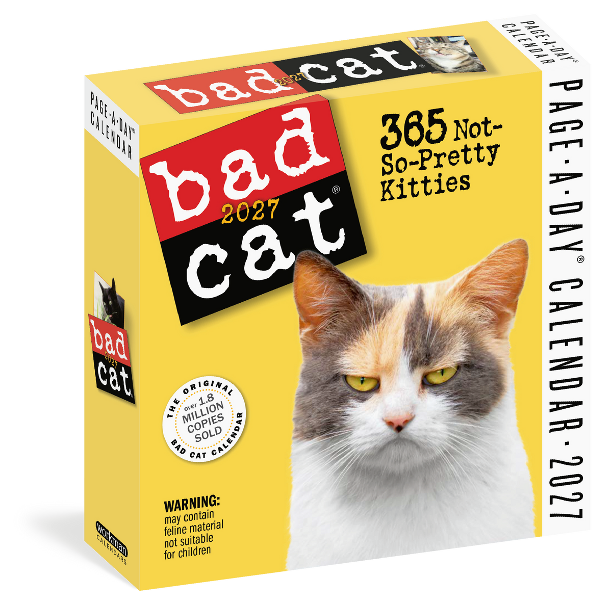 Bad Cat Page-A-Day® Calendar 2027