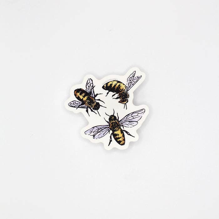 CLEAR Little Bees Sticker – 2.5"