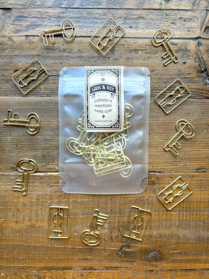 Lock & key paper clip set
