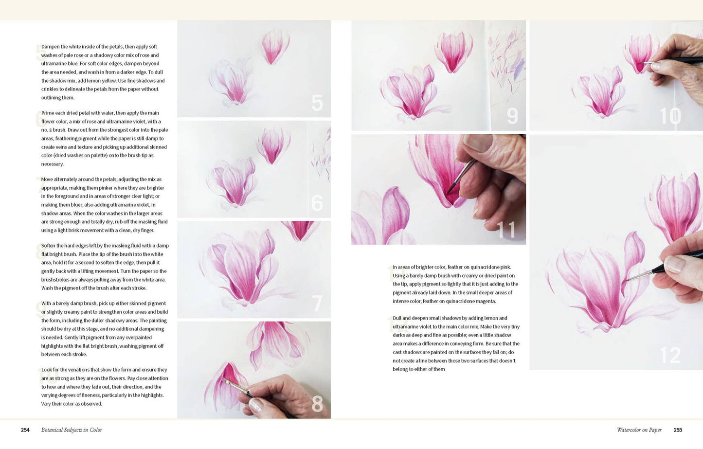 Botanical Art Techniques