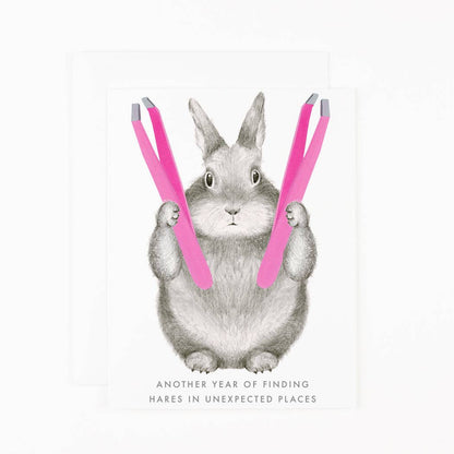 Hare-themed greeting card with gray rabbit holding two pink striped bars; message text below