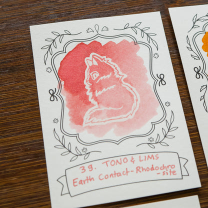 Neighborhood Cats Ink Cards