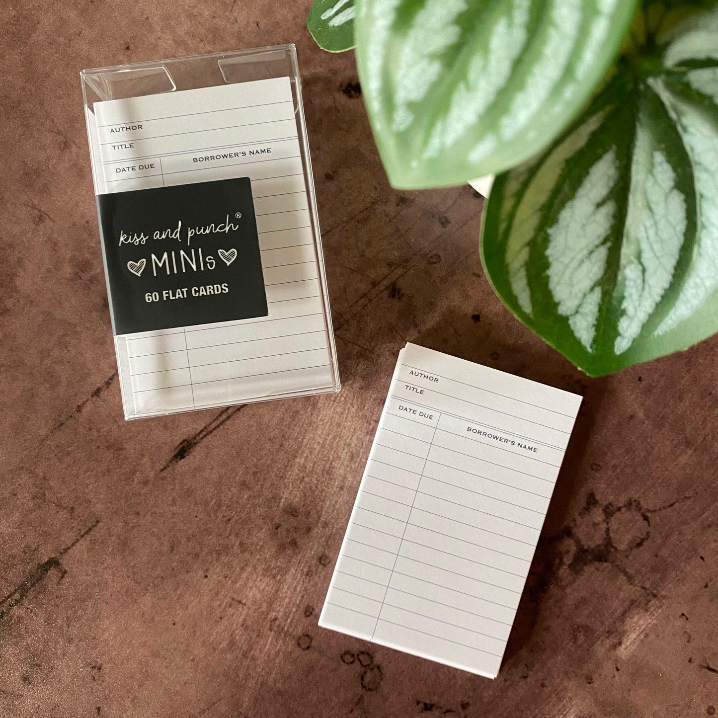 White Library Card Minis™ - Flat Notecard Set of 60 