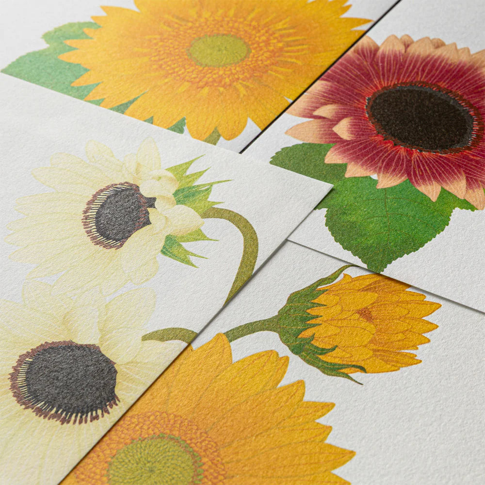Letter Pad 025 Four Designs Sunflower