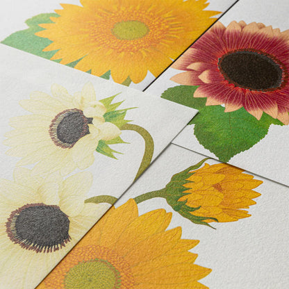 Letter Pad 025 Four Designs Sunflower