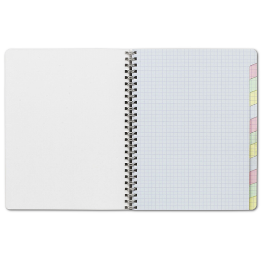 8.25 x 11.75 Classic Clairefontaine Multi Subject Notebook