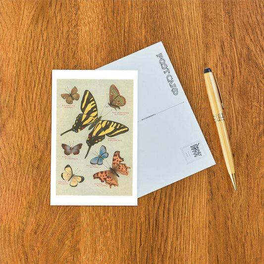 Postcard IS-24 Butterflies