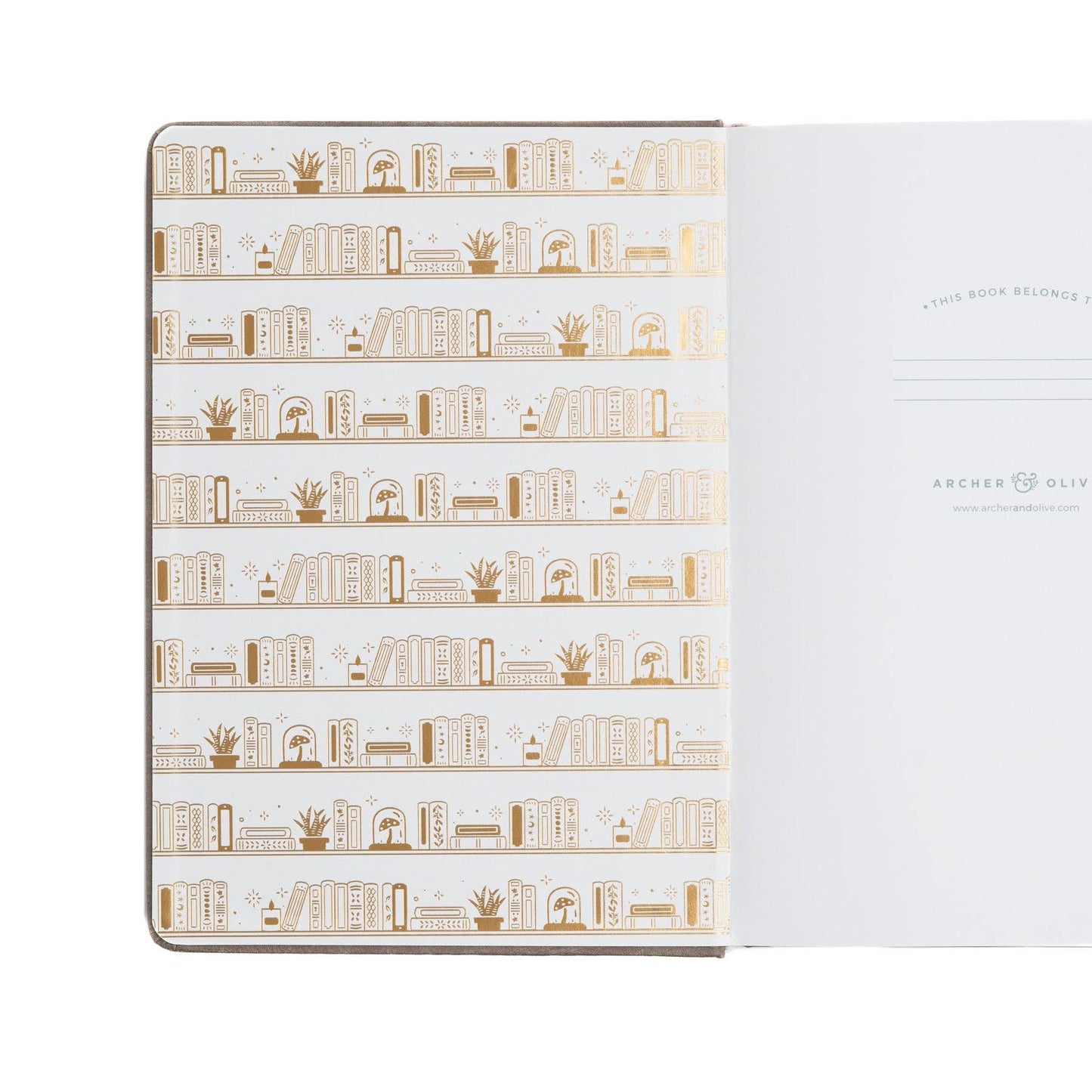 Pocket Size Dot Grid: Bookshelf