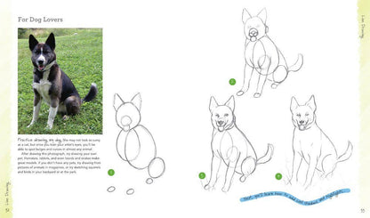 Art for Kids: Drawing by Kathryn Temple