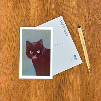 Postcard NP-413 Black Cat Licking Chops
