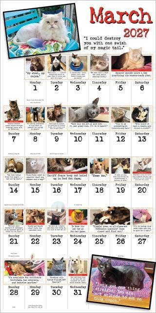 March 2027 cat wall calendar page with kitten photo header and weekly date grid