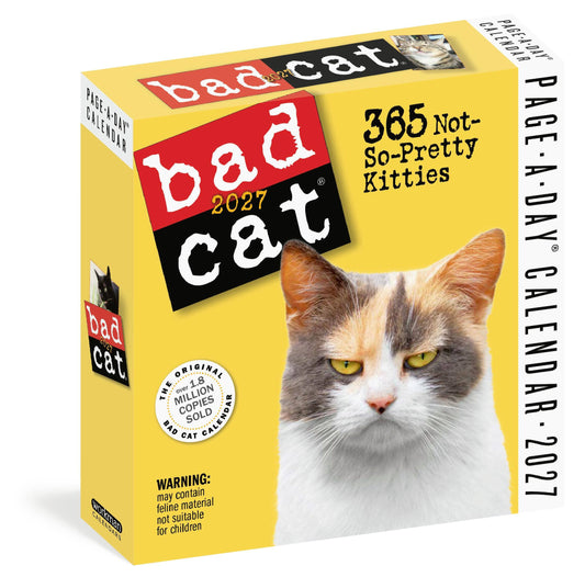 Bad Cat Page-A-Day 2027 calendar box front with orange, white, gray cat face