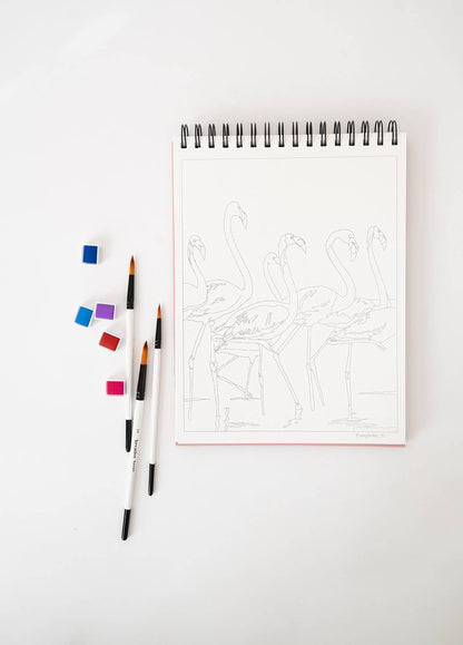 National Parks Watercoloring Book-Outlines w/Video Tutorials