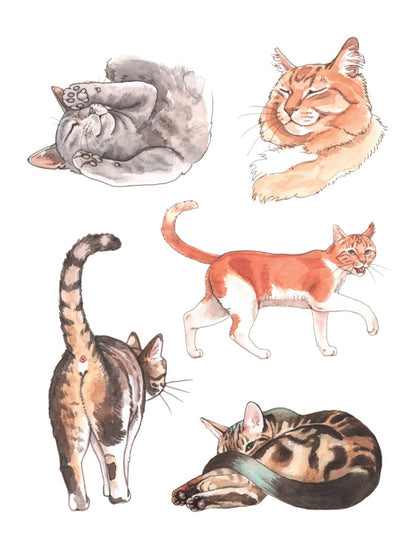 Cat's Meow Sticker Book