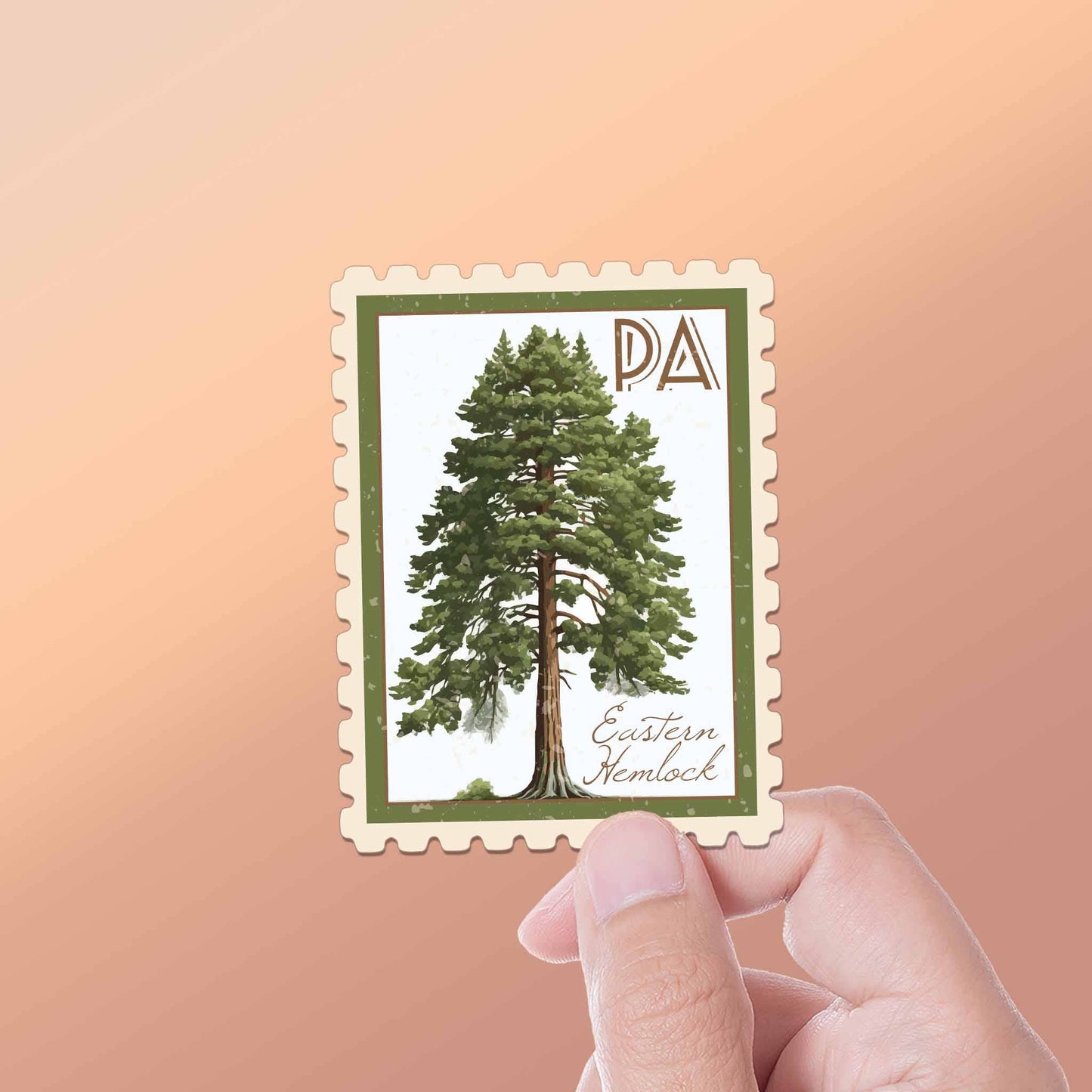 Pennsylvania State Tree Eastern Hemlock Sticker - PA Decal