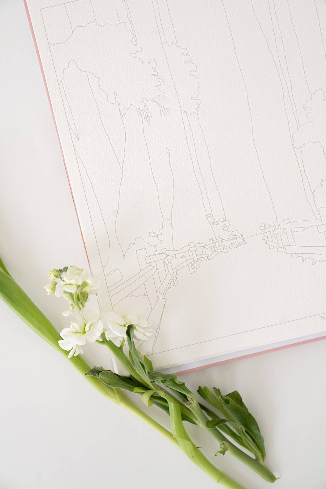 National Parks Watercoloring Book-Outlines w/Video Tutorials