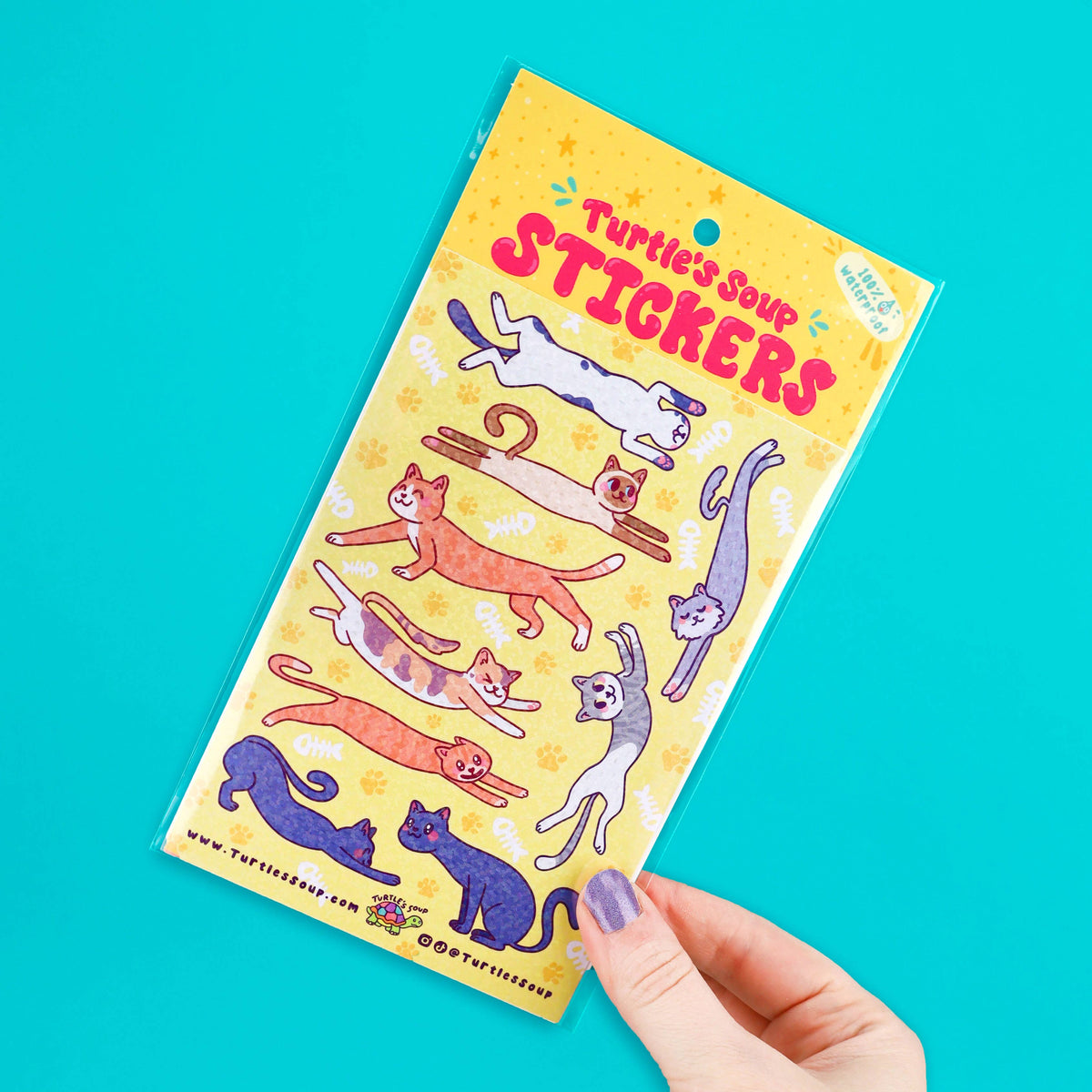 Hand holding cat glitter sticker sheet with long cats and colorful lettering