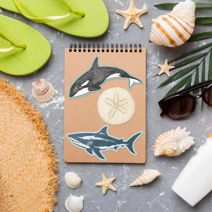 Shark Sticker