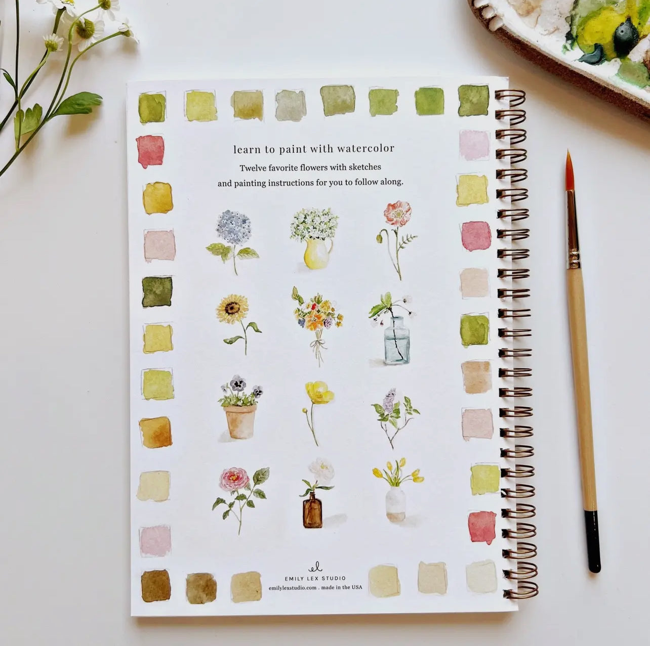Emily Lex Watercolor Booklets