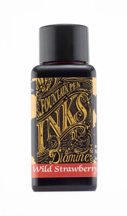 Diamine Fountain Pen Inks 30ml