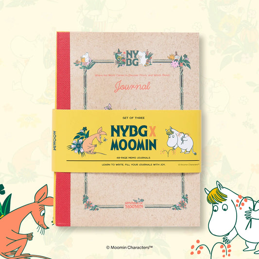 Esterbrook x Moomin NYBG Large Notebook Set of 3