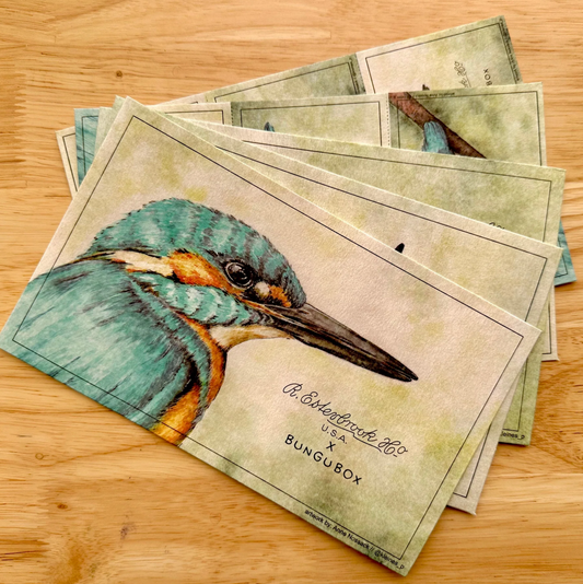 PRE-ORDER: Esterbrook x BUNGUBOX Kingfisher Edition Blotter Paper