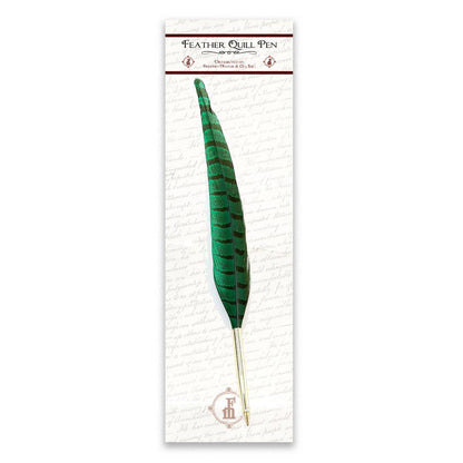 Genuine pheasant quill pen-ballpoint in box with green feather quill and metal nib