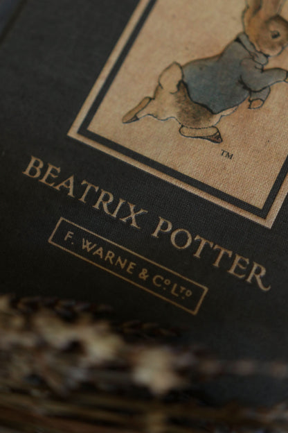 *The Tale of Peter Rabbit by Beatrix Potter 1902 Book Journal