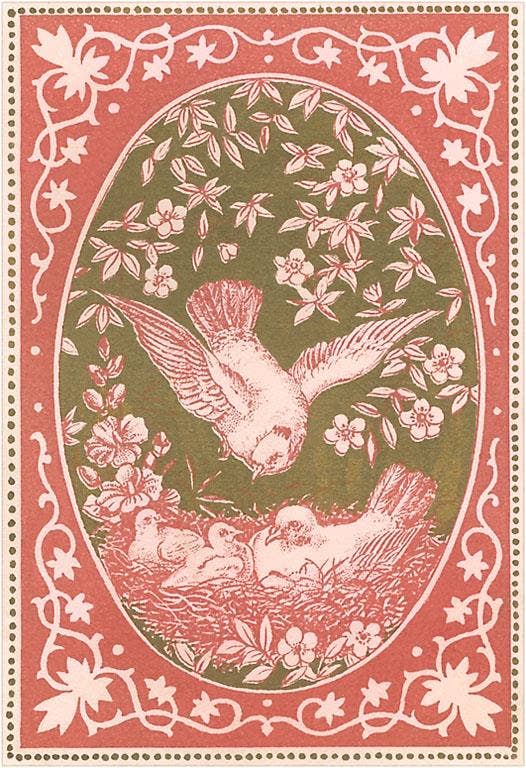 Postcard BD-102 Valentine with Dove Family