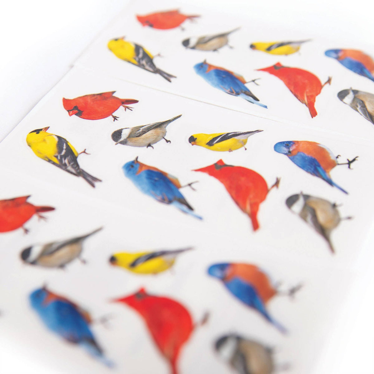 Close-up of colorful bird stickers with scattered red, blue, yellow and gray birds