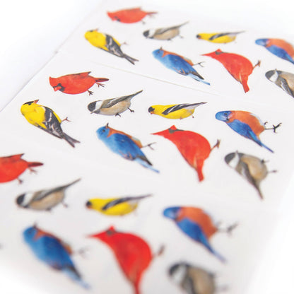 Close-up of colorful bird stickers with scattered red, blue, yellow and gray birds