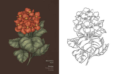 Floriography Coloring Book by Jessica  Roux