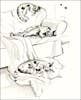 For the Love of Cats: 20 Individual Notecards and Envelopes