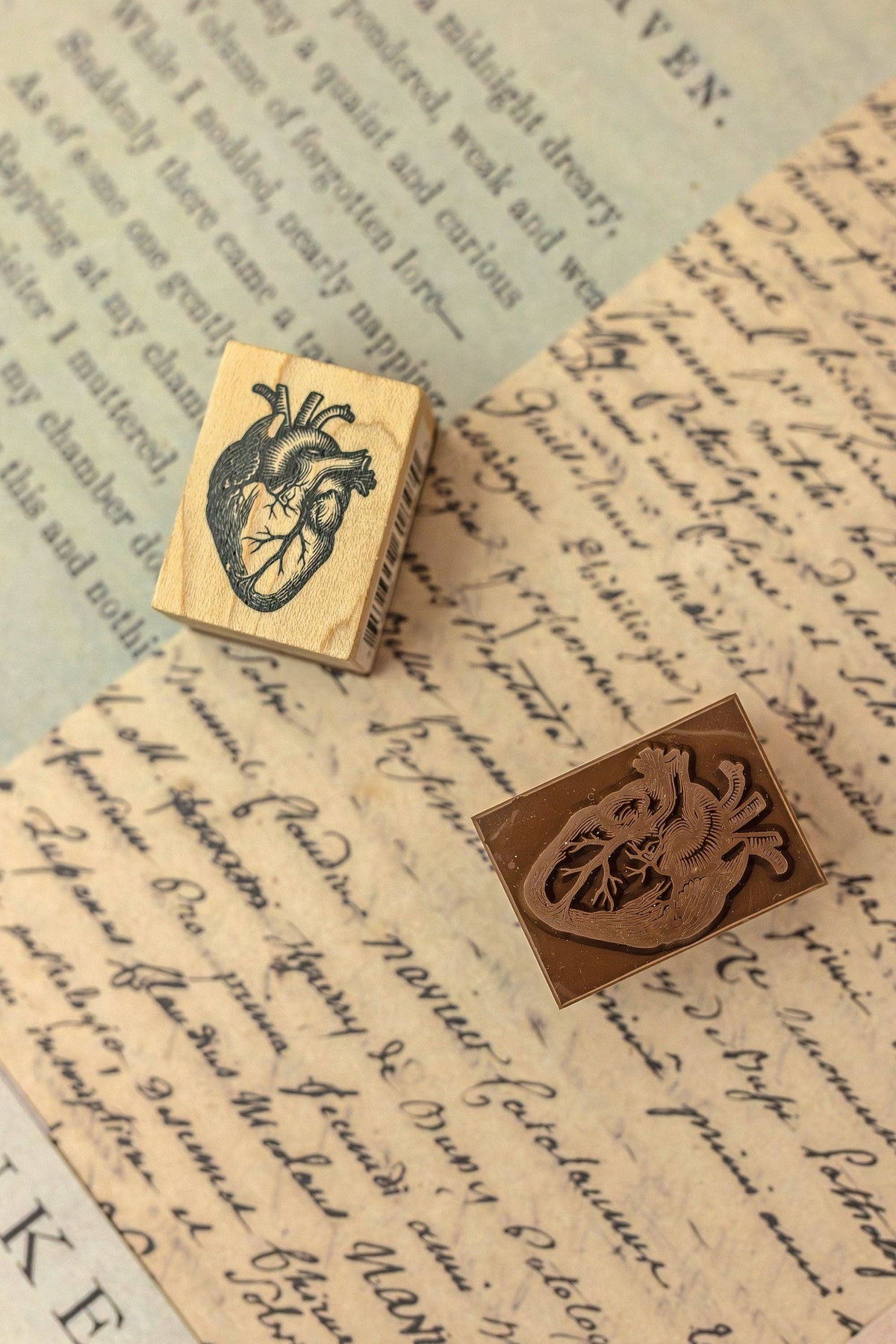 Set of two wooden stamps with carved fantasy animal designs on paper