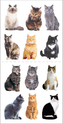 Mini Mixed Cats 2x4 Sticker Sheet