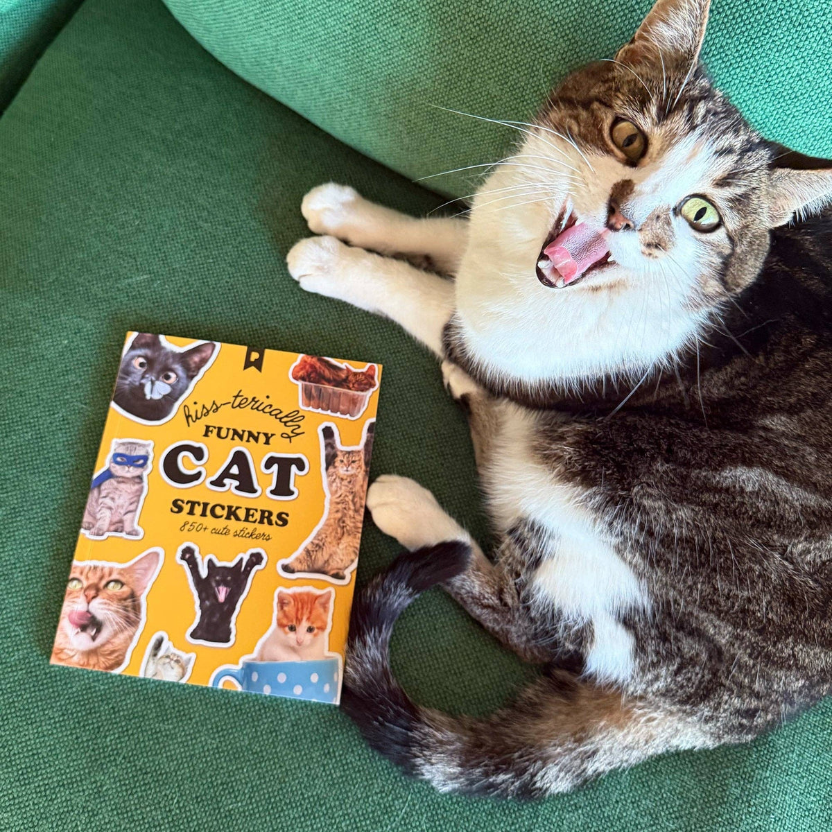 Funny cat sticker book, colorful cover with cat silhouettes and “150+ stickers” text