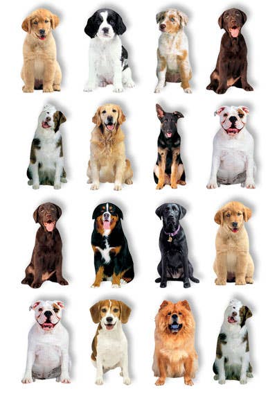 Pop Up Scrapbook Stickers - Dogs