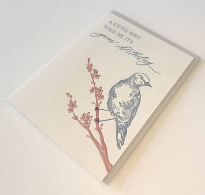 Bird Birthday Card Letterpress Greeting Card