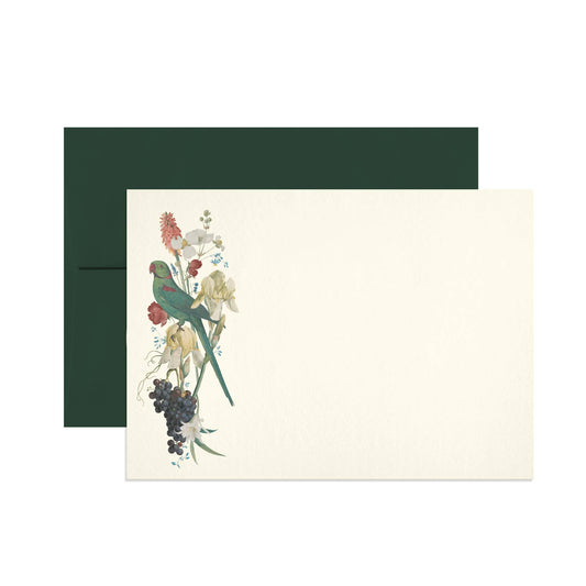 Perroquet Notecard Set