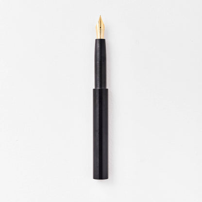 Dark fountain pen with gold nib and matte black body