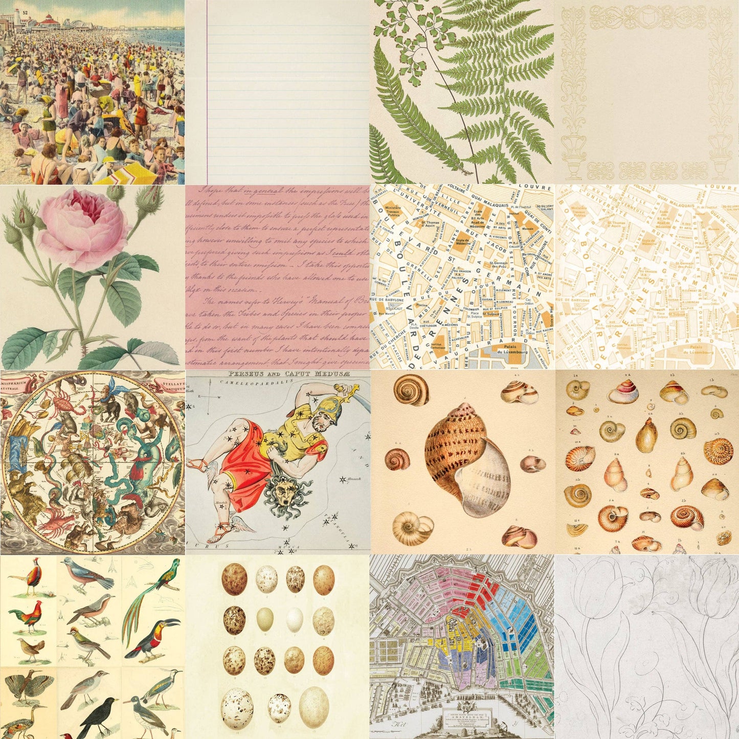 Ephemera Patterned Paper Pack