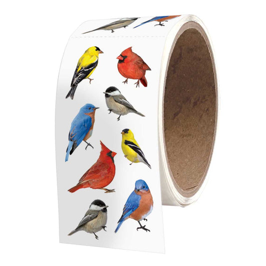 Backyard Birds 2x4 Sticker Sheet