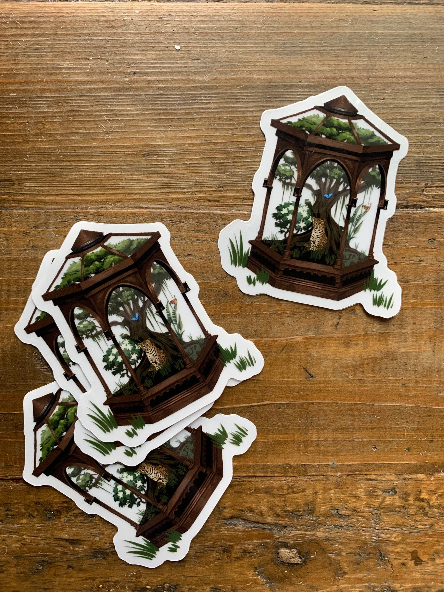Terrarium clear vinyl sticker