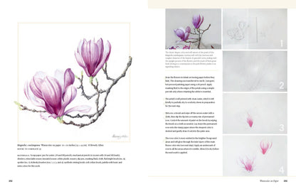 Botanical Art Techniques