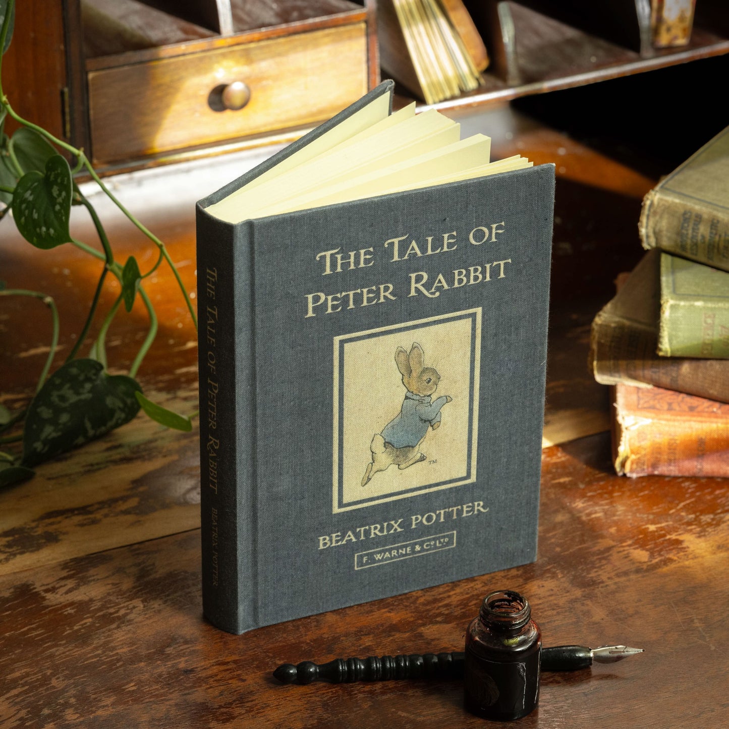 *The Tale of Peter Rabbit by Beatrix Potter 1902 Book Journal