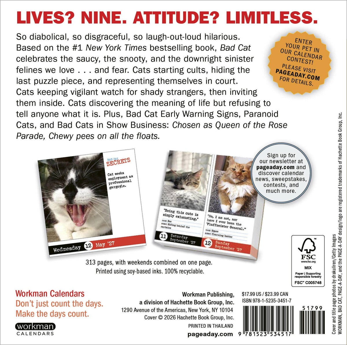 Bad Cat Page-A-Day® Calendar 2027