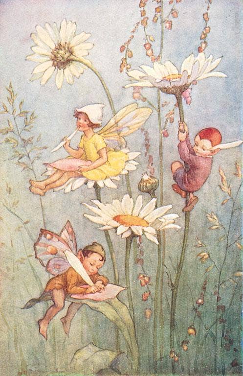 Postcard KF-15 Garden Fairies